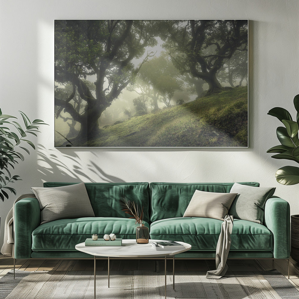 Zauberwald | Leinwand