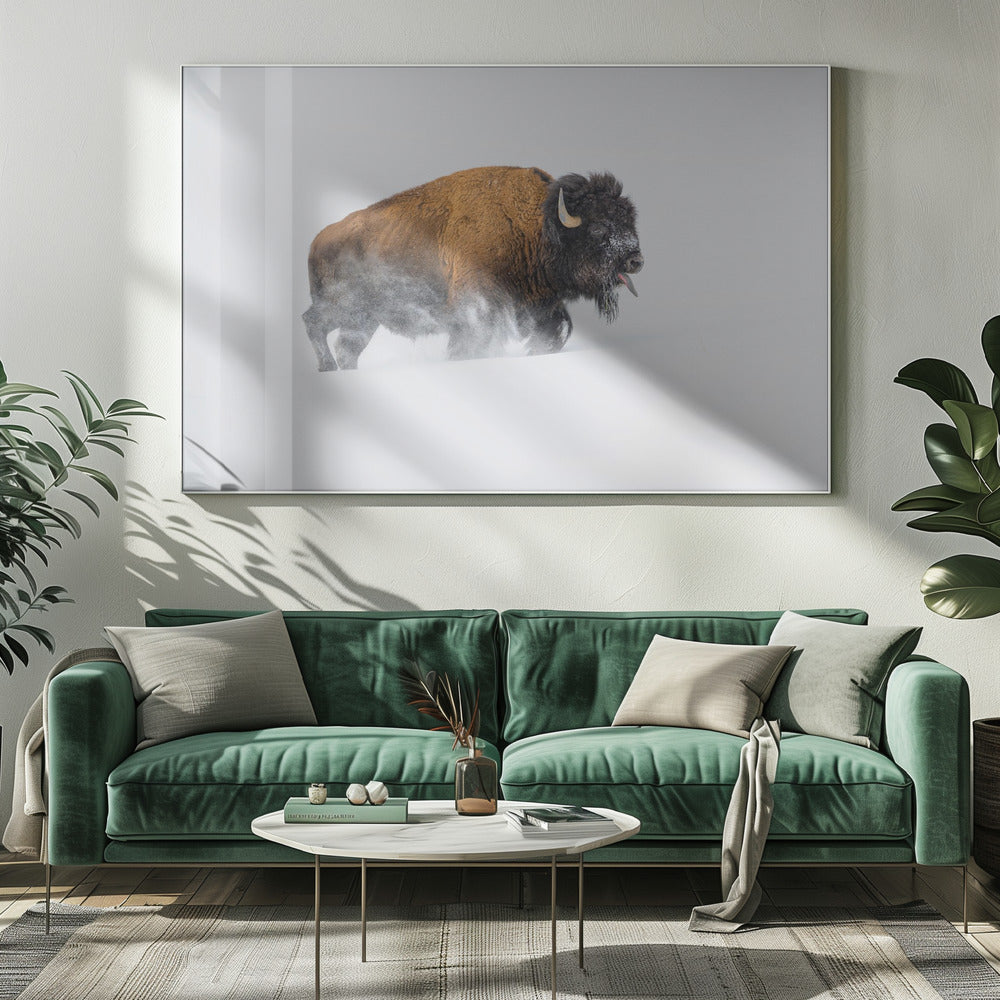 Bison im Schnee | Leinwand