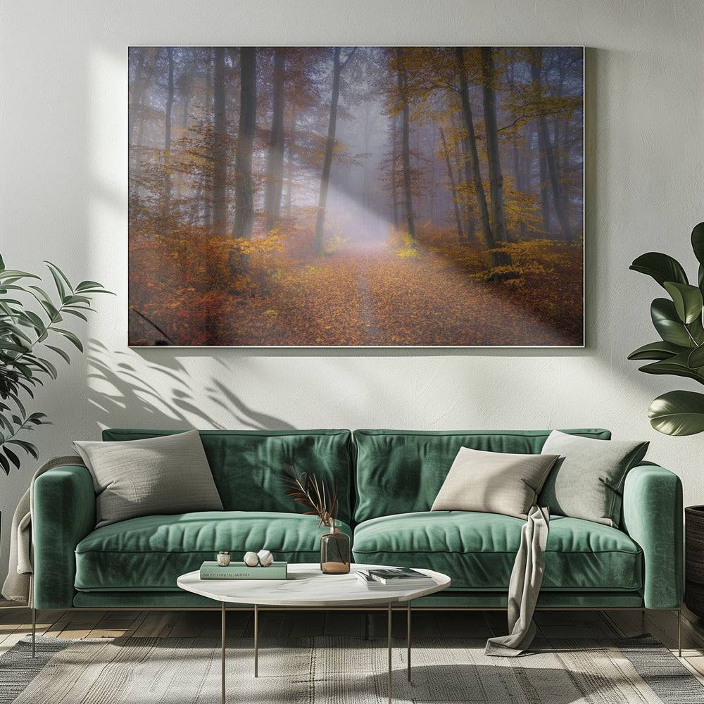 October Trail | Canvas