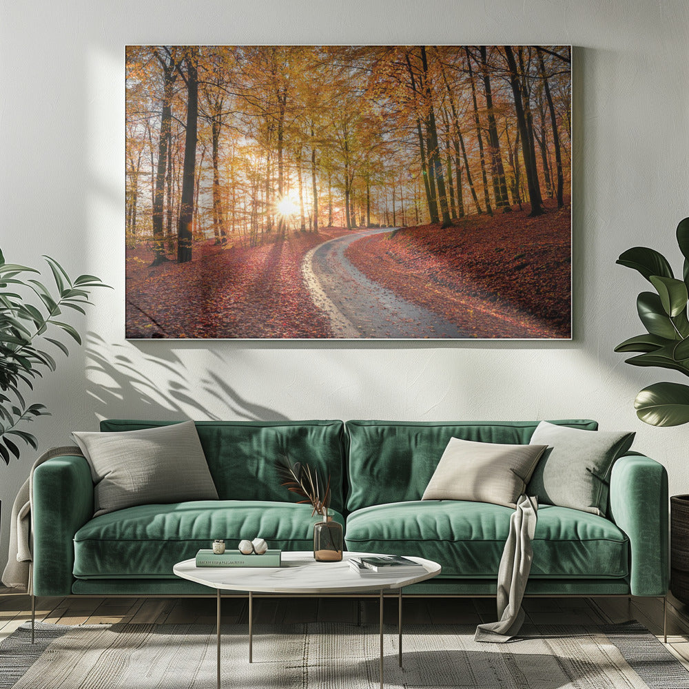 Road in Söderåsen nationalpark, Sweden | Canvas