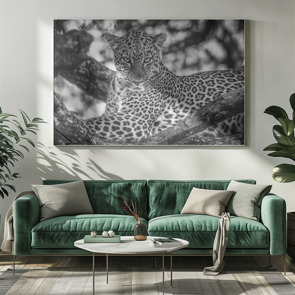 Monochrome Schönheit | Leinwand