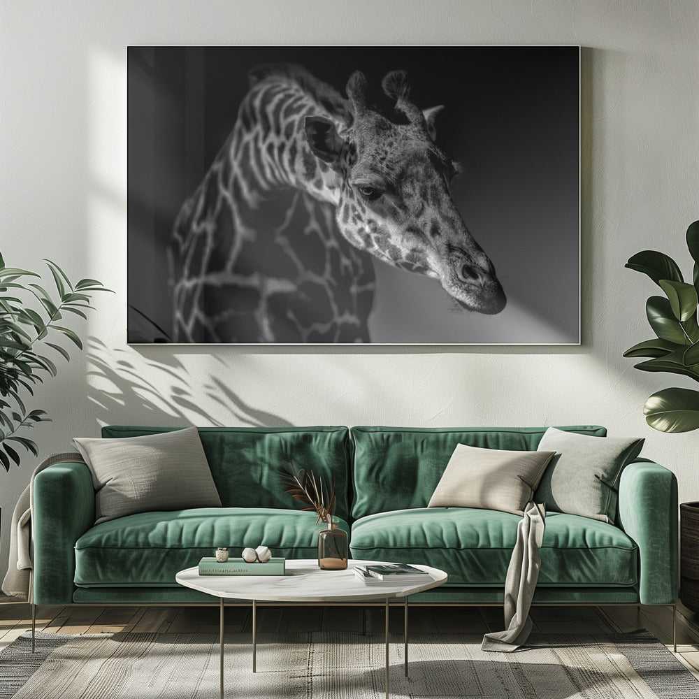 Giraffe | Leinwand
