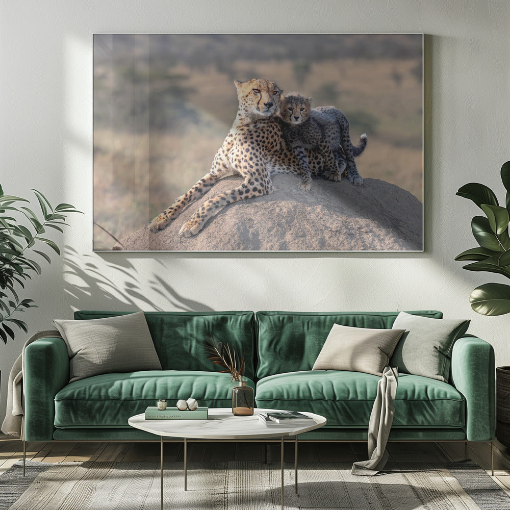 Gepard und Tasse! | Leinwand