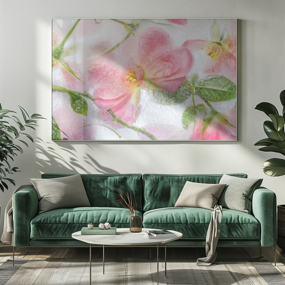 Rosa | Leinwand