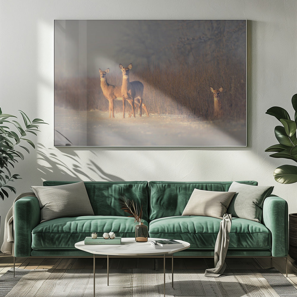 Drei Hirsche | Leinwand