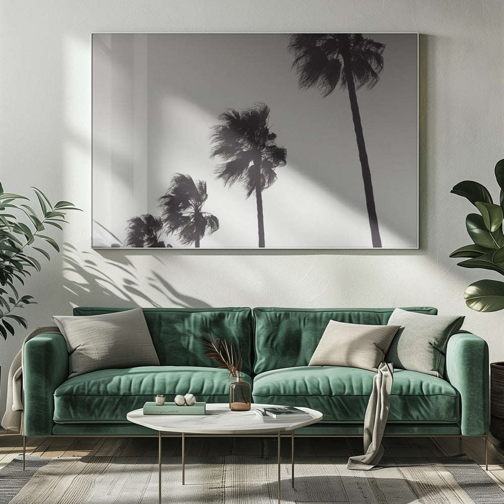 Palme_004 | Leinwand