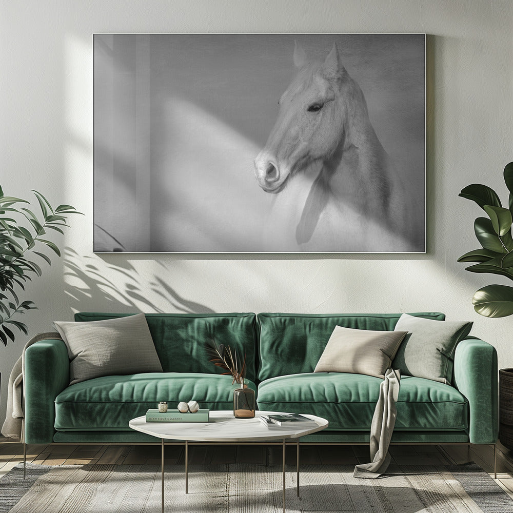 The Grey Horse | Canvas