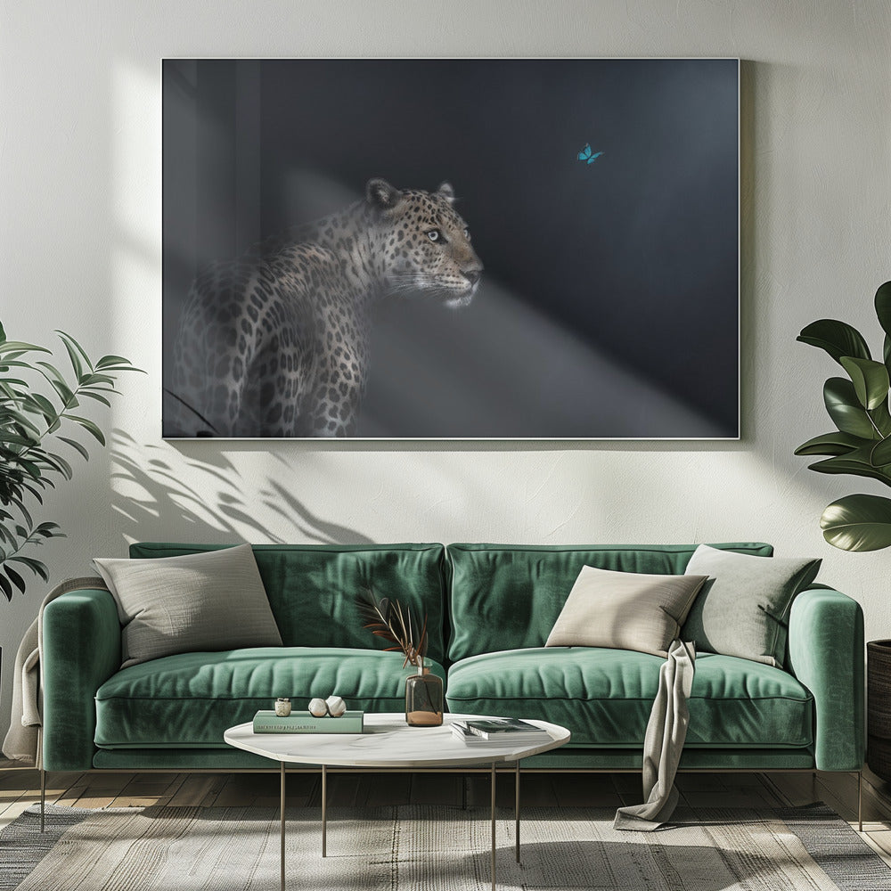 Imagination | Canvas