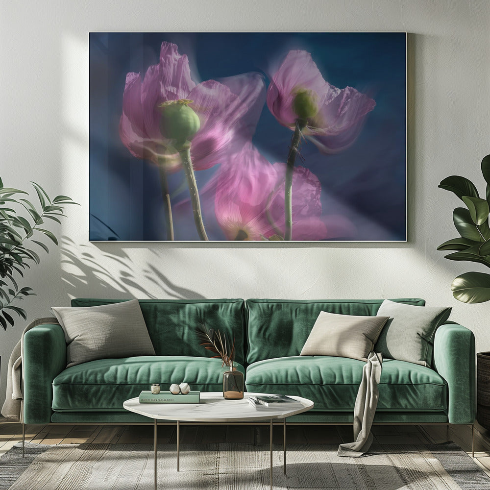 Mohnblumen am Wegesrand | Leinwand