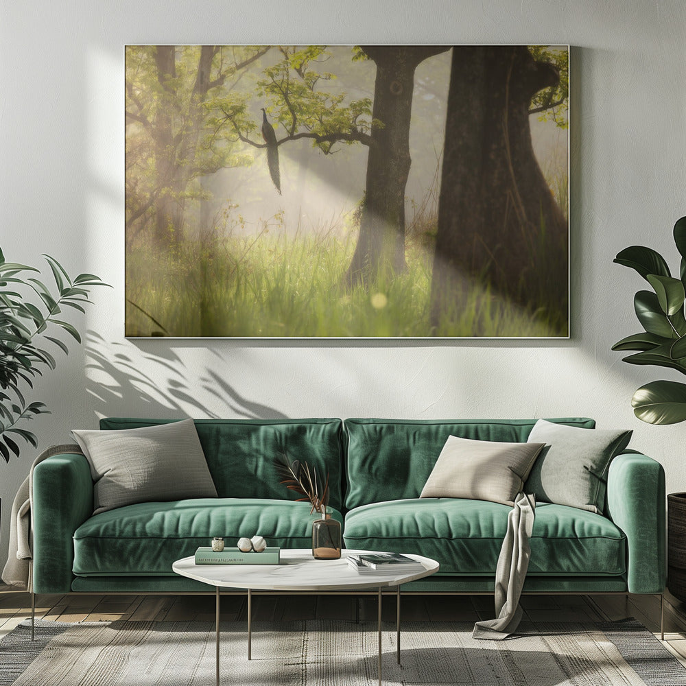 Peacock | Canvas