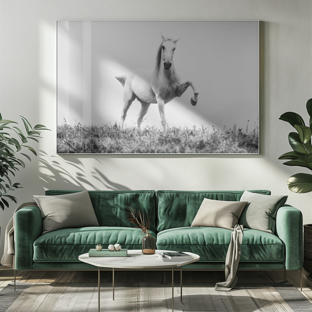 a short story about white beauty | Canvas
