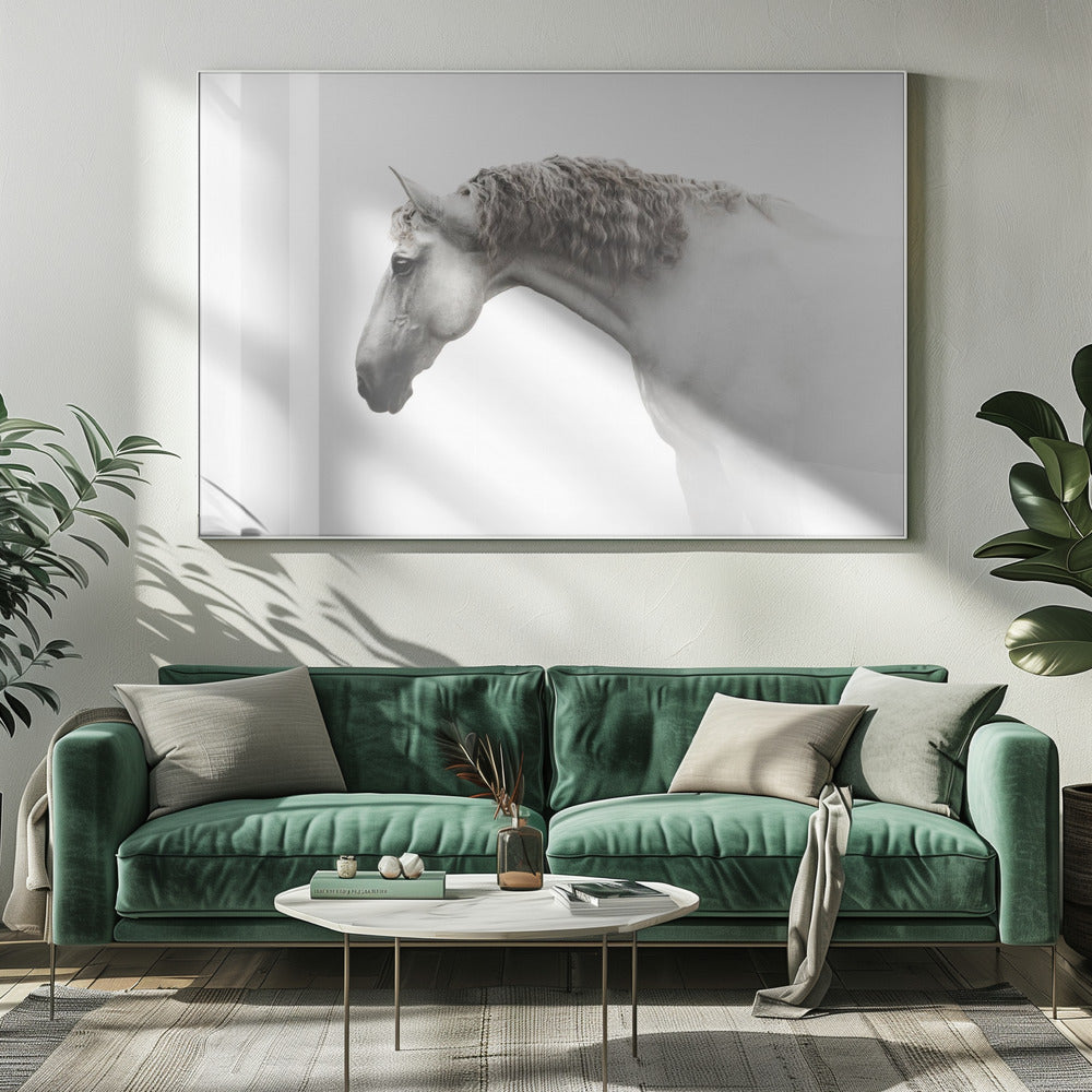 Curly hair… | Canvas