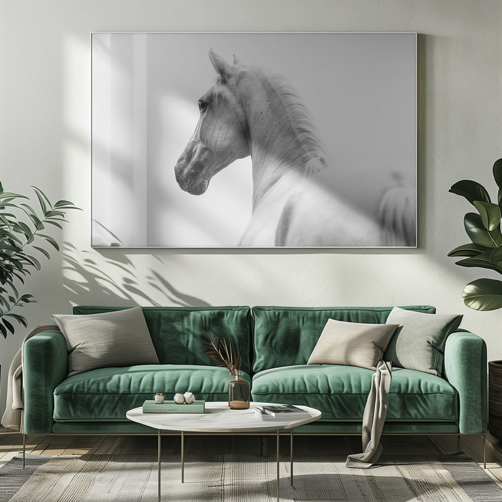 a short story about a shorn horse | Canvas