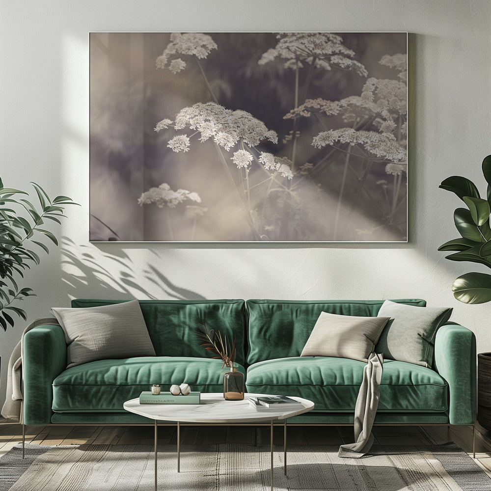 Wild Parsley | Canvas