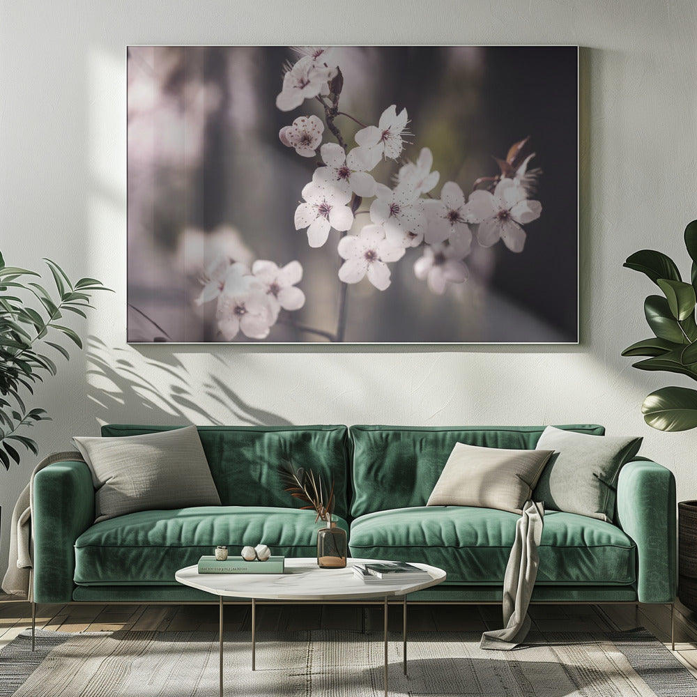 Blossoms | Canvas