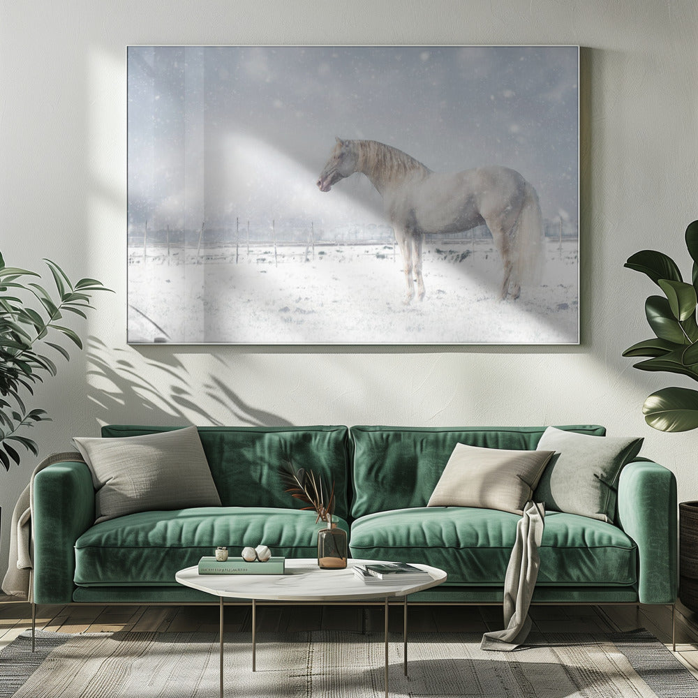 Let it snow... | Canvas