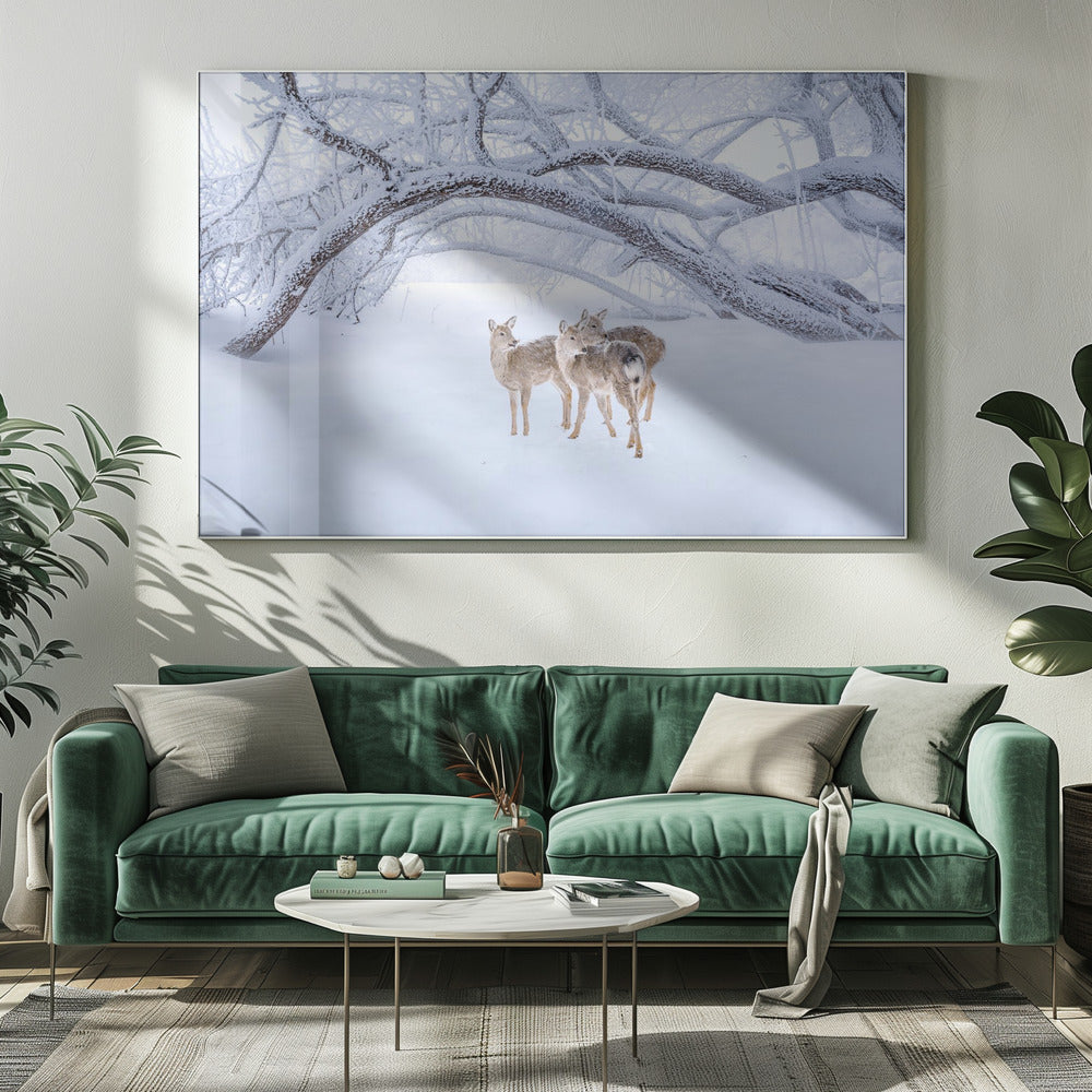 Deers' Walk in Snow | Canvas