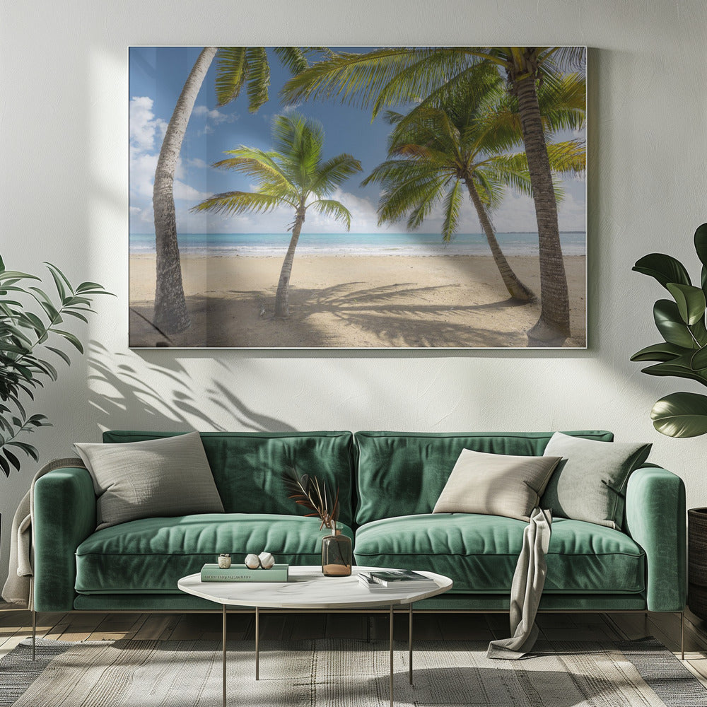 Palmy Beach II | Canvas
