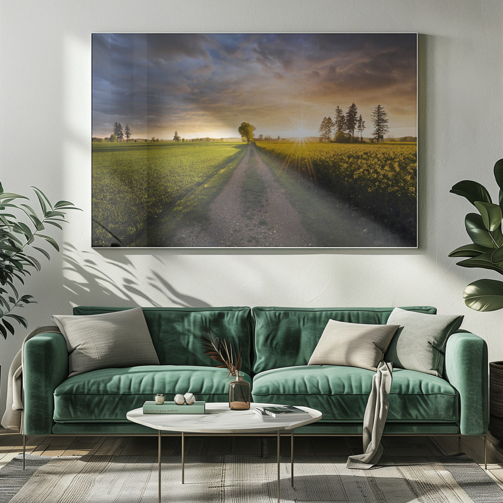 Sommerwiese | Leinwand
