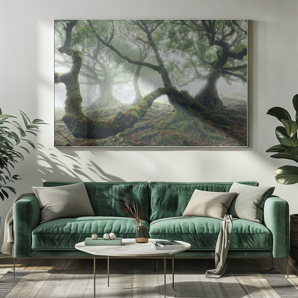 Mystischer Lorbeerwald | Leinwand