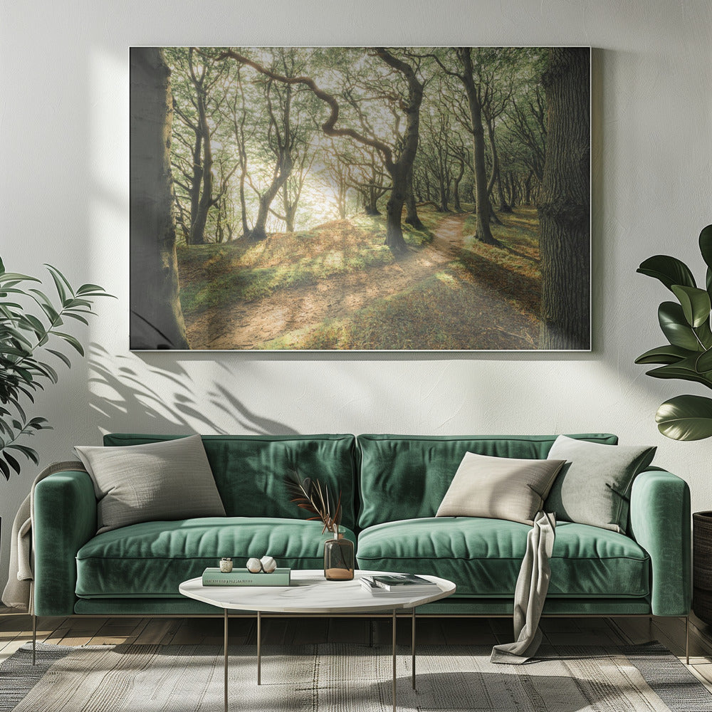 Magisches Buchenholz | Leinwand