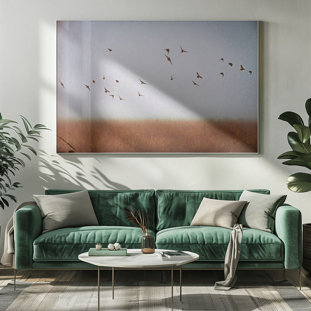 freedom | Canvas