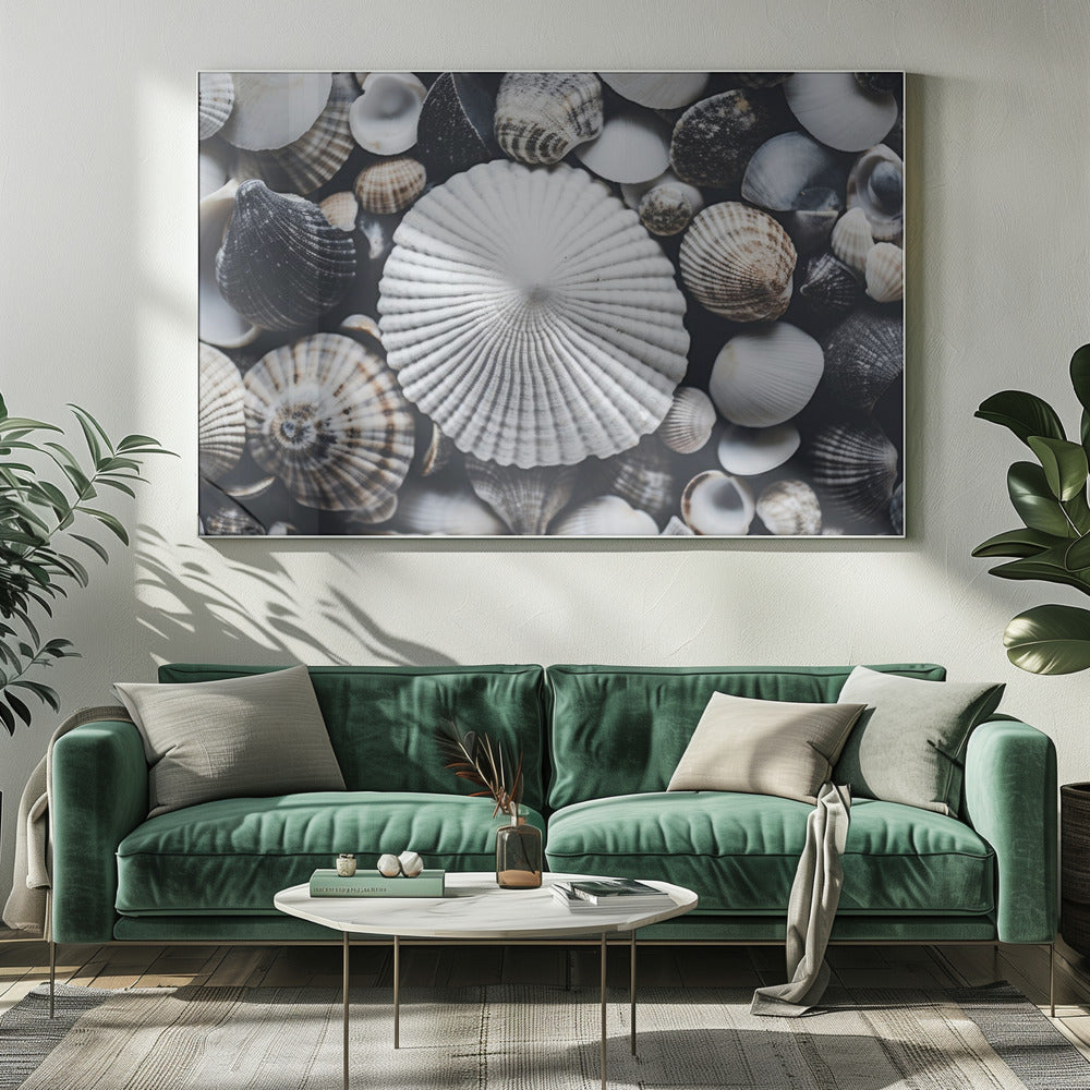 Muschelsymphonie | Leinwand