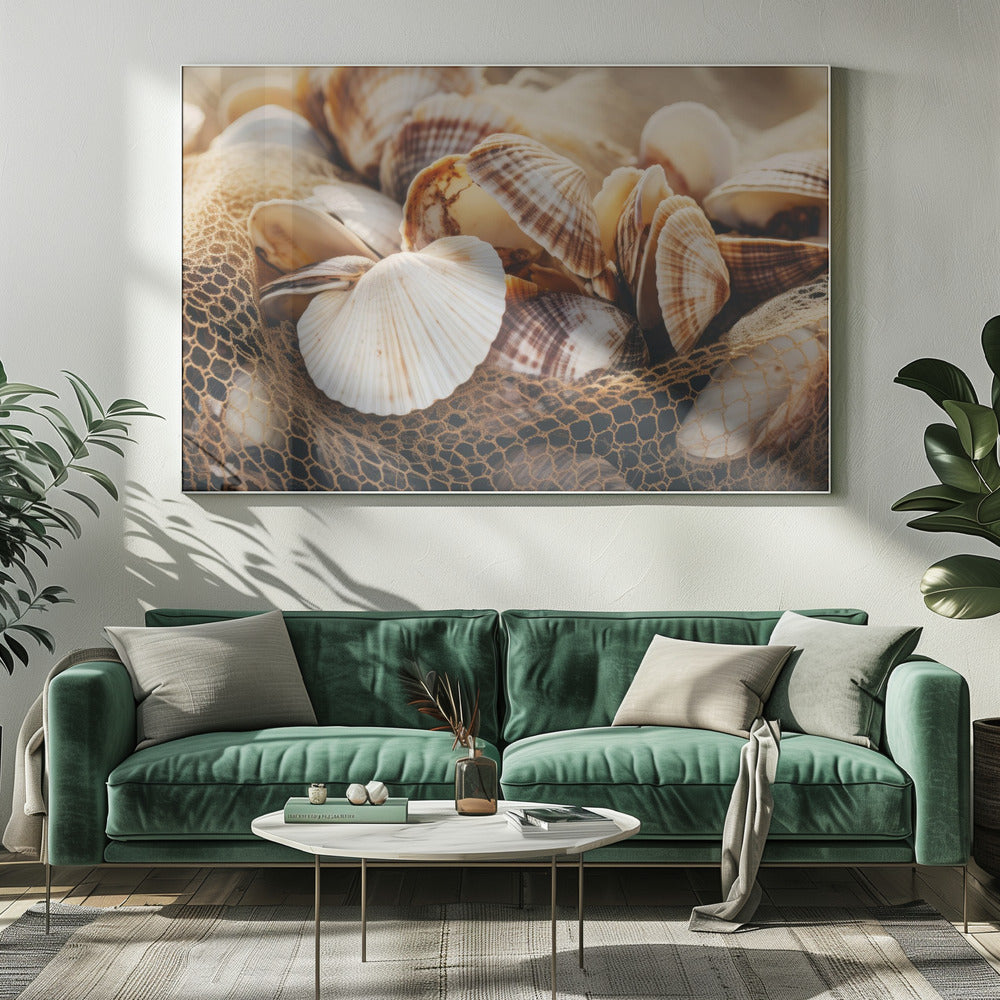Muschelsymphonie | Leinwand
