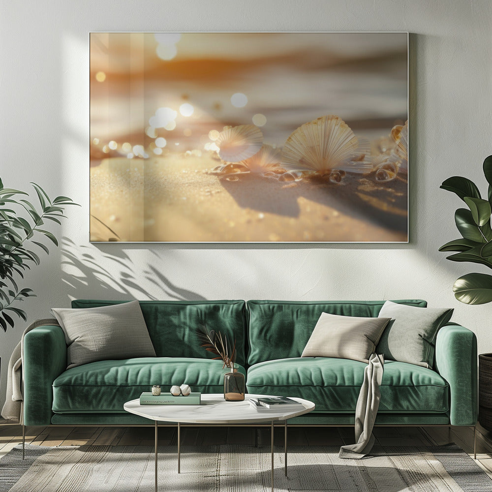 Sonnenbeschienene Muscheln | Leinwand