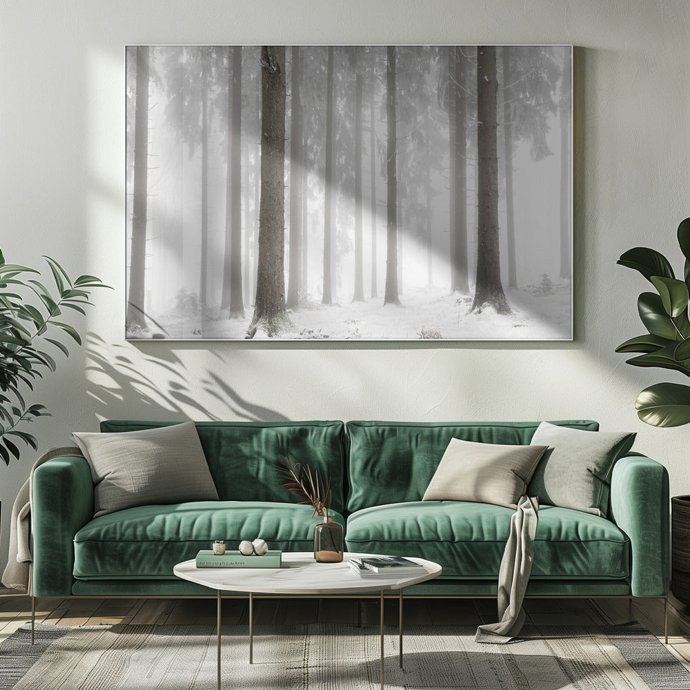 Winter Forest | Canvas