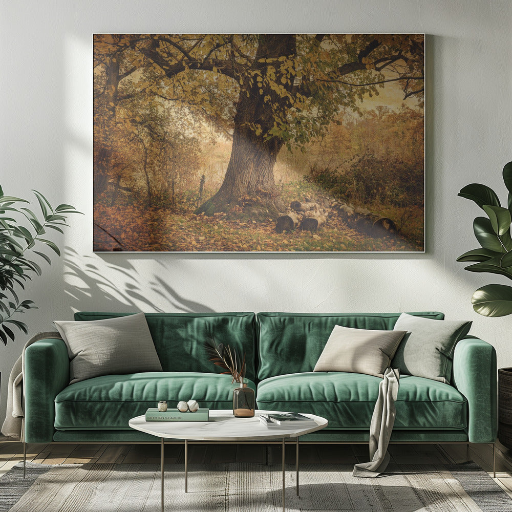 Alter Baum | Leinwand