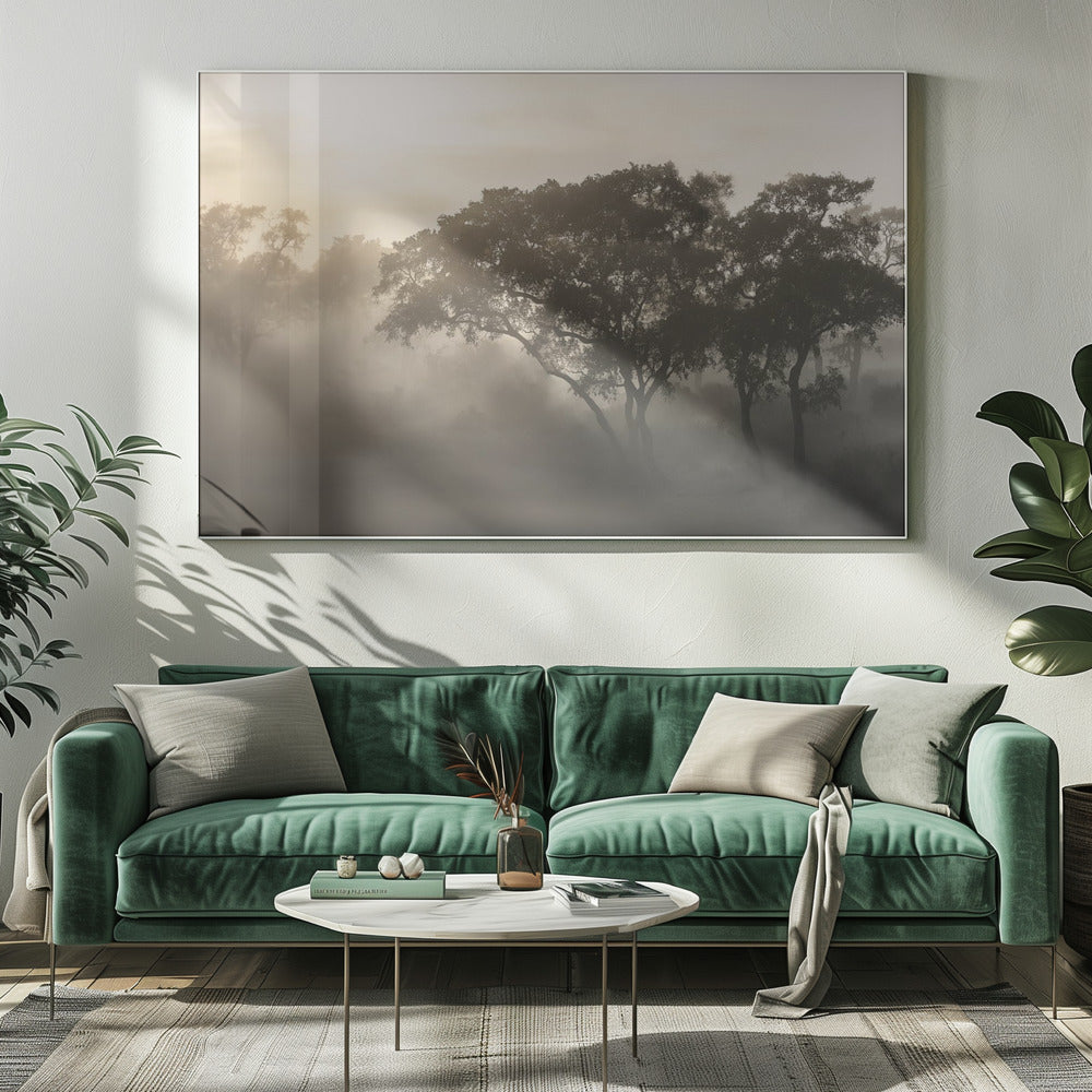 SAVANA SONNENAUFGANG | Leinwand