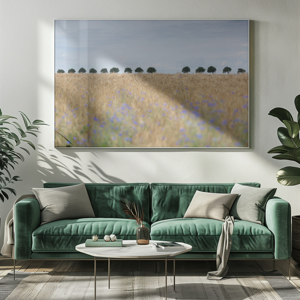 Nordische Momente 4 | Leinwand