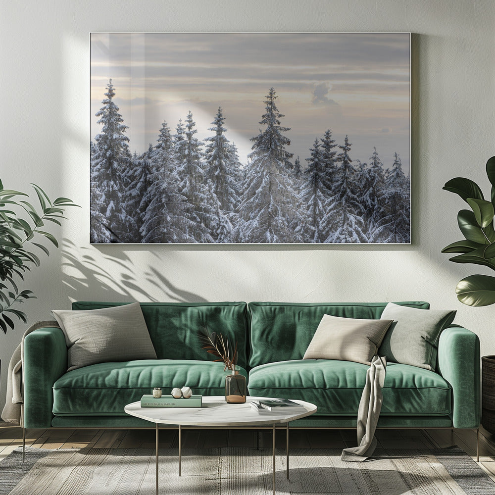 Schneebedeckte Bäume 8 | Leinwand