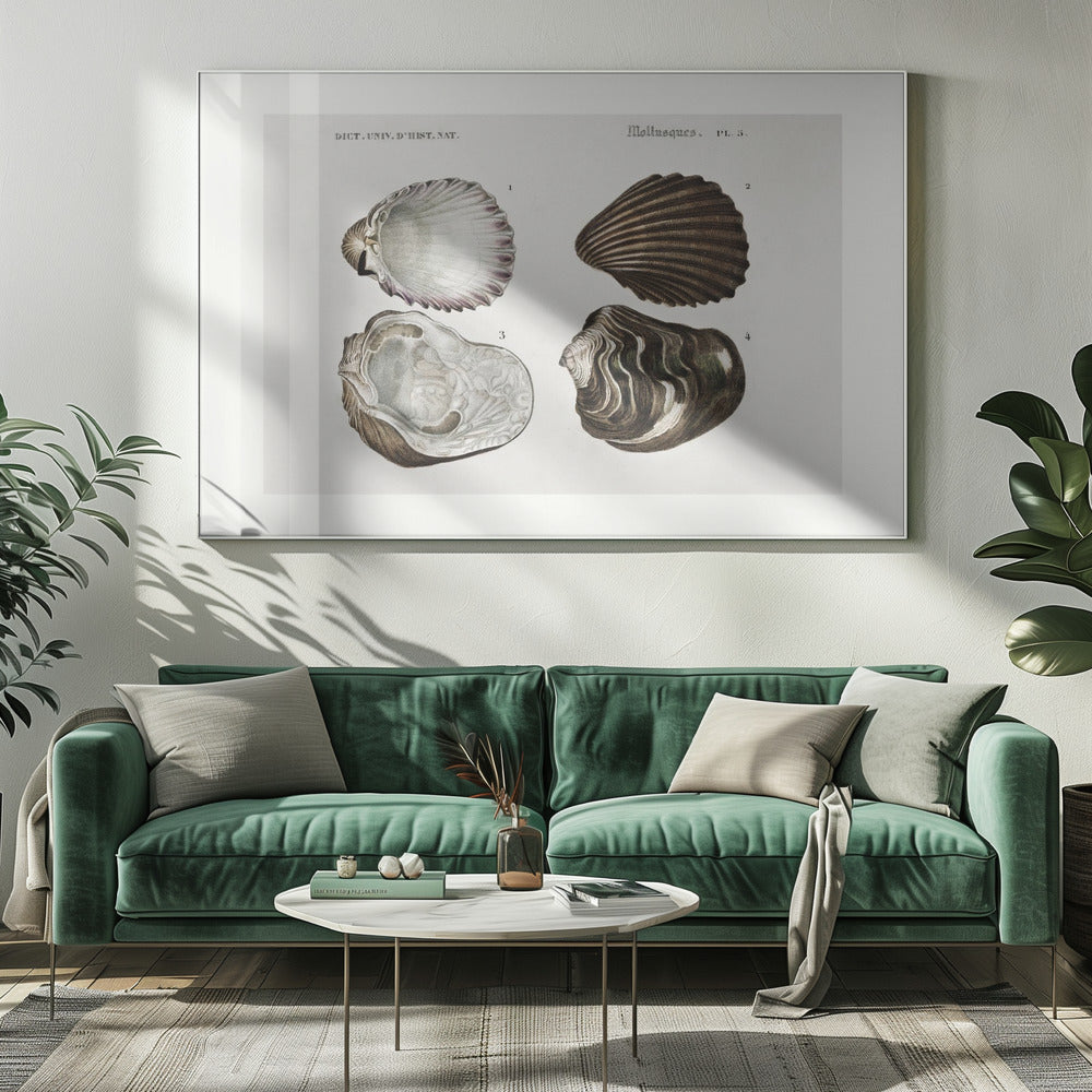Sealife III | Canvas