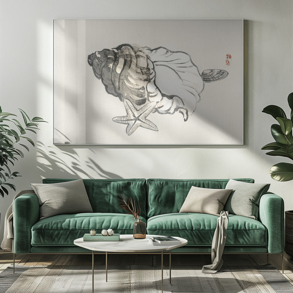 Seestern und Muschel | Leinwand