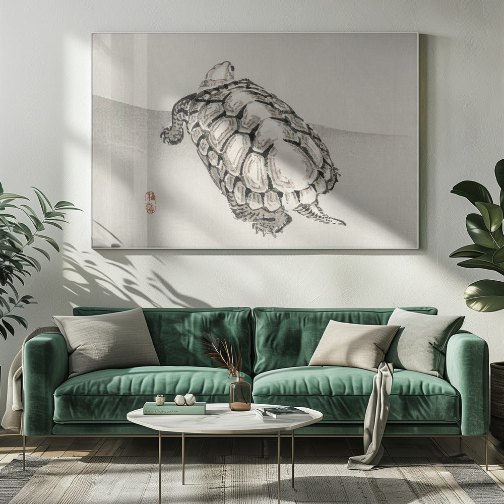 Schildkröte | Leinwand