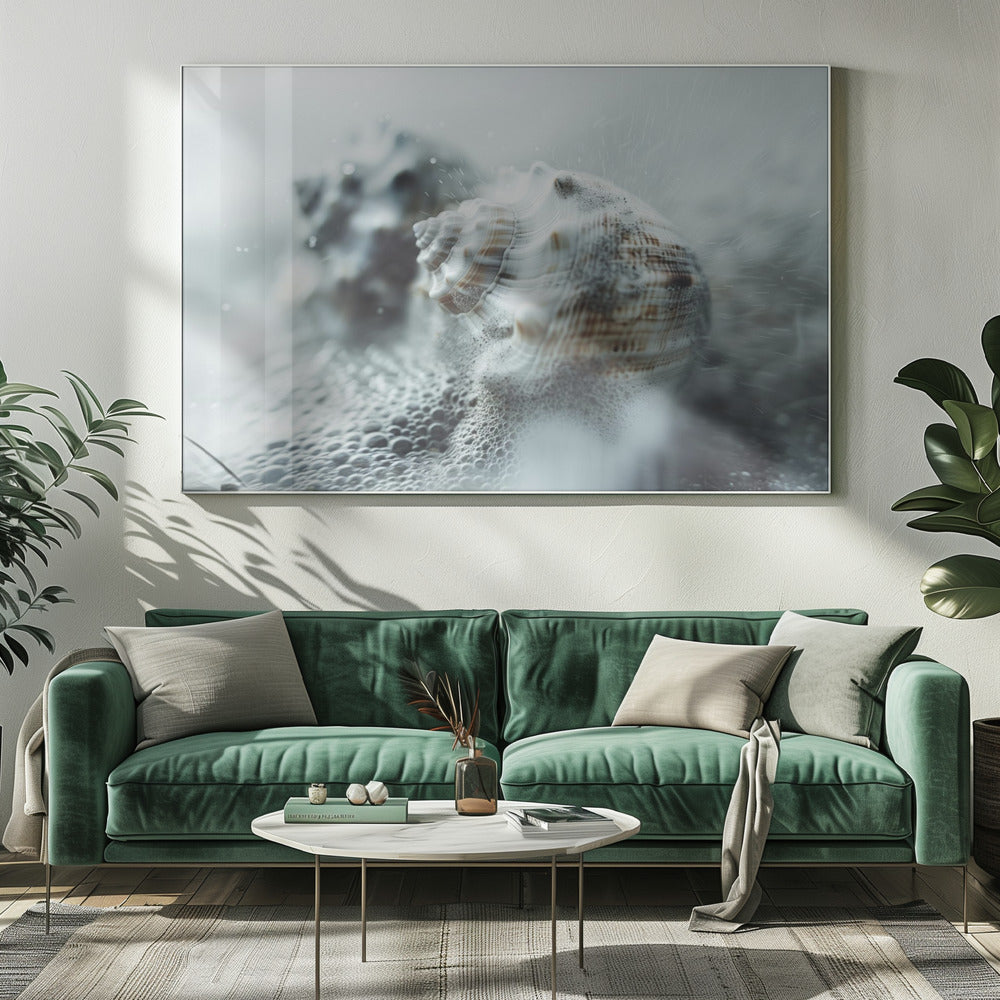Muscheln im Meeresnebel | Leinwand