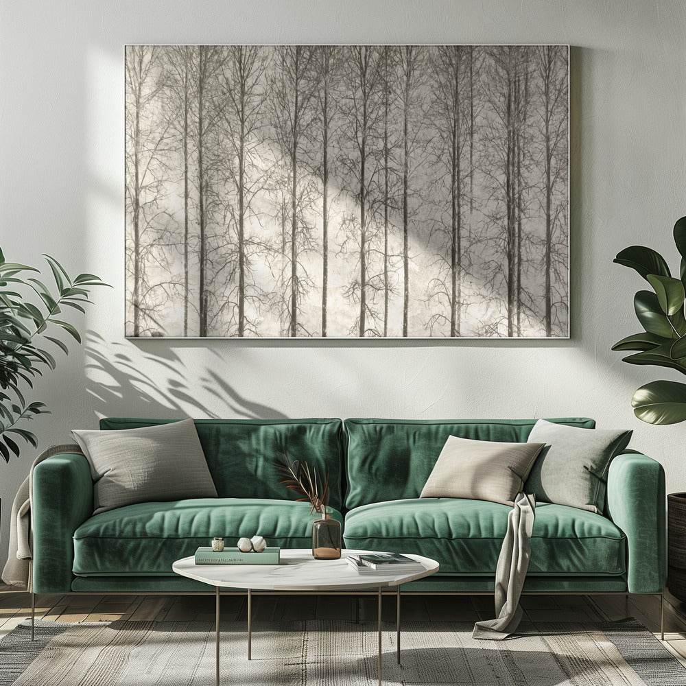 Aspens | Canvas