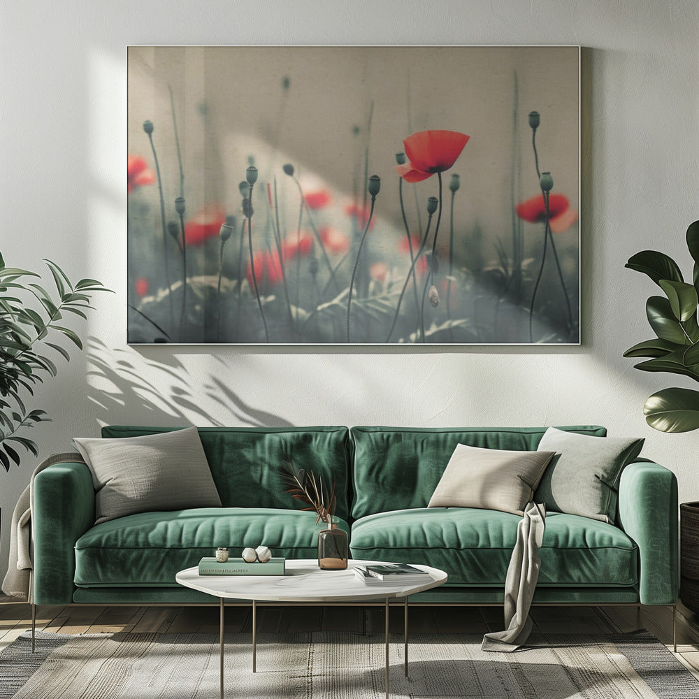 Mohnblumen im Nebel | Leinwand