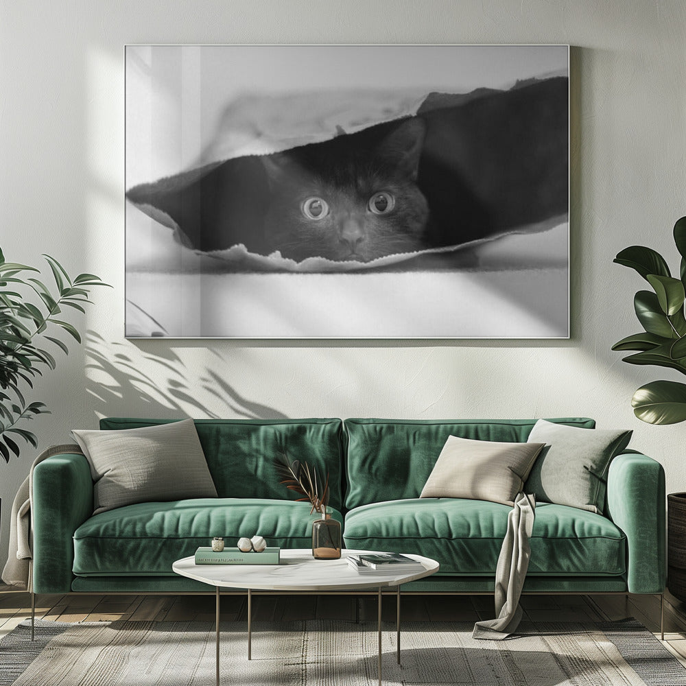 Katze im Sack | Leinwand