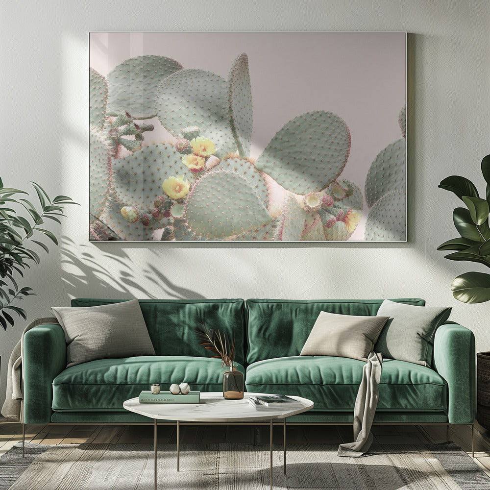 Blooming Cactus | Canvas