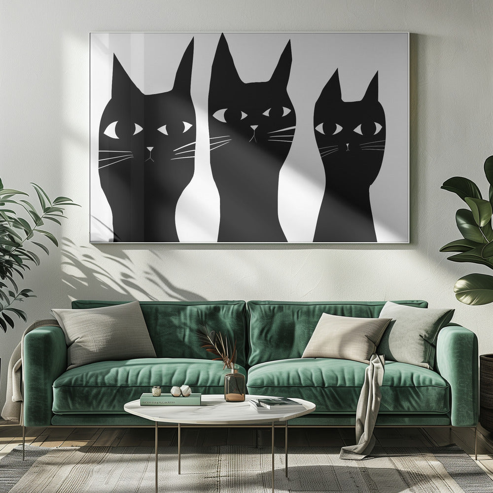Drei schwarze Katzen spähen Katze | Leinwand
