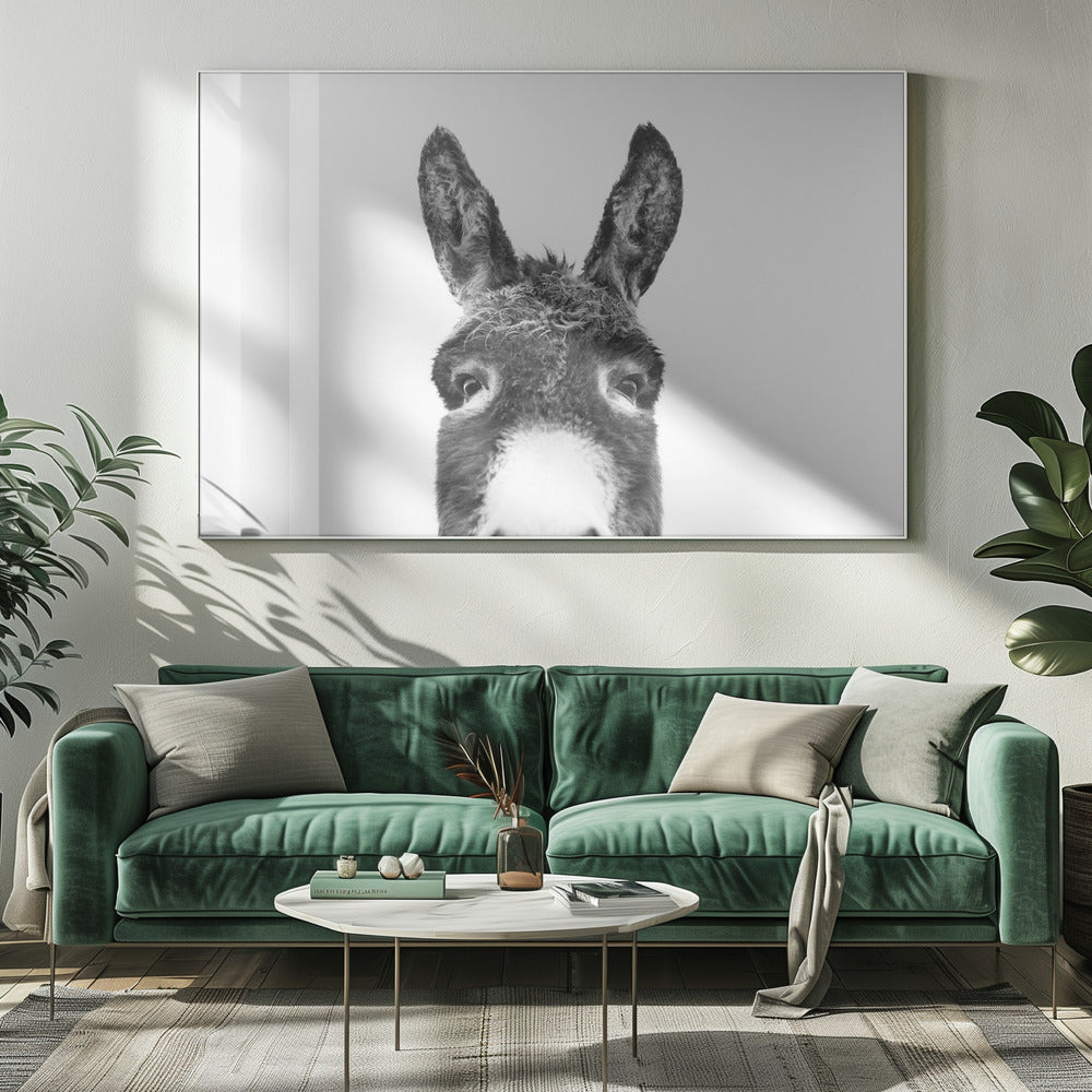Guckender Esel SW | Leinwand