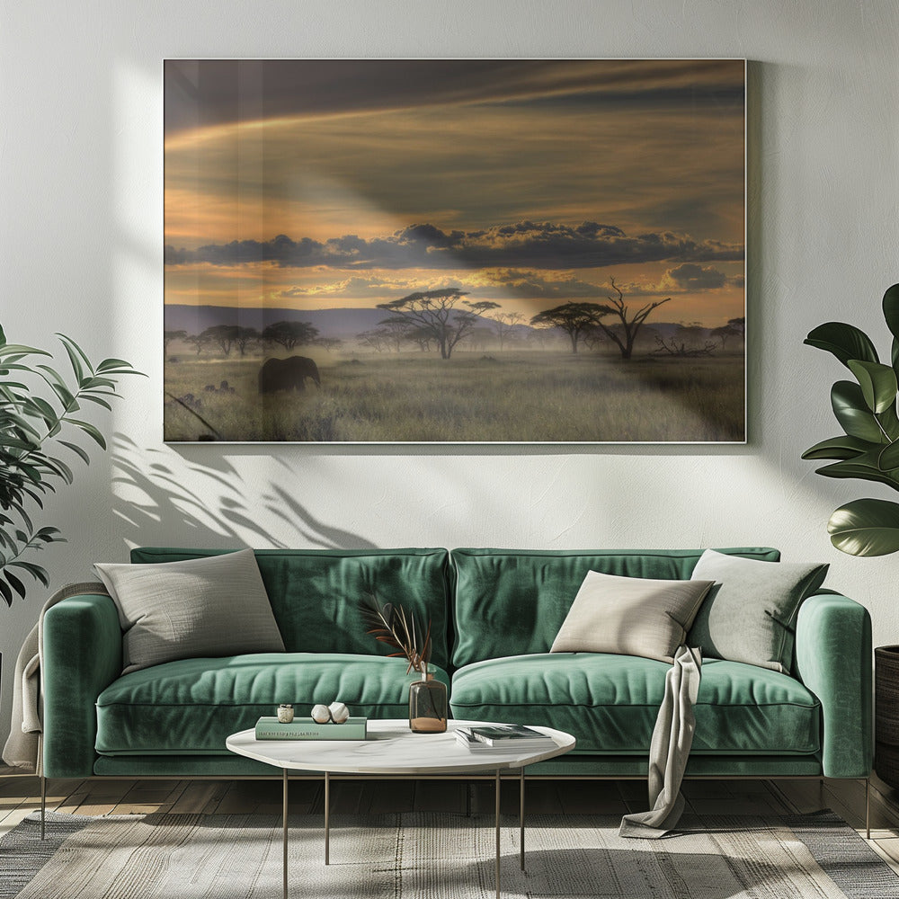 Africa | Canvas