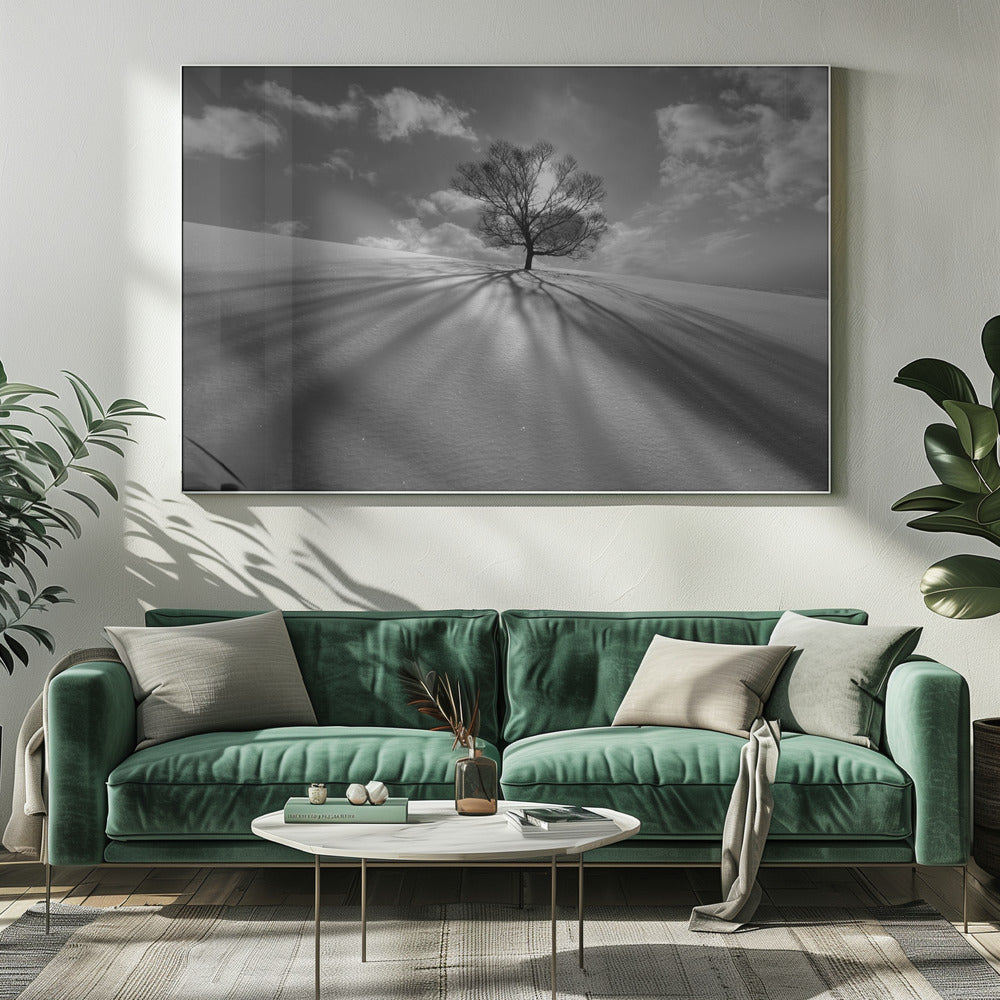 Baumschatten | Leinwand