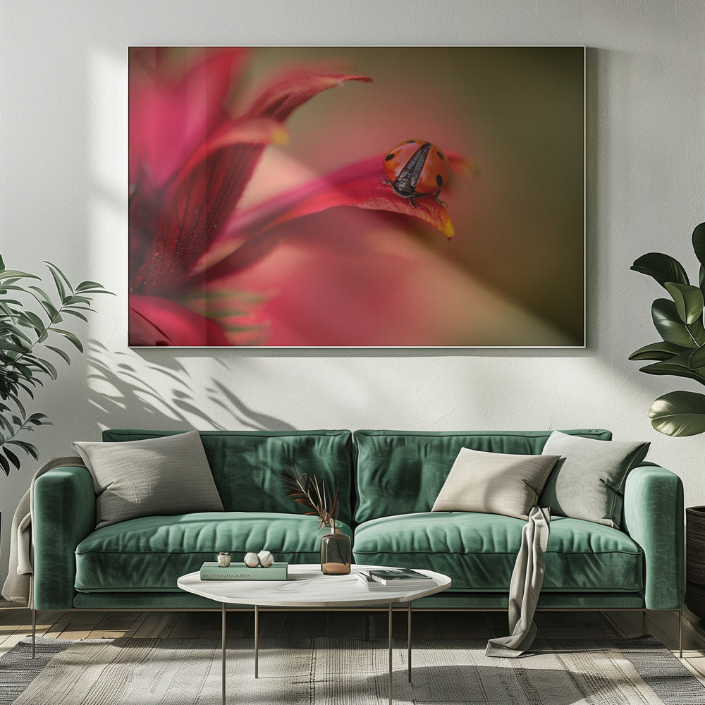 Simply red | Canvas