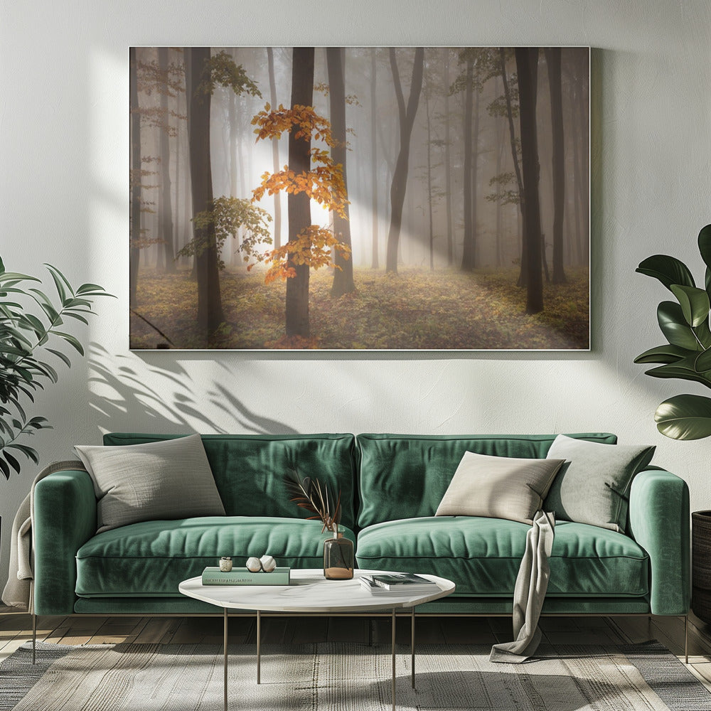 In November Light | Canvas
