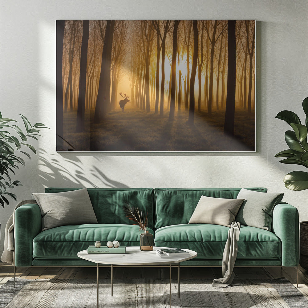 Once Upon a Time | Canvas
