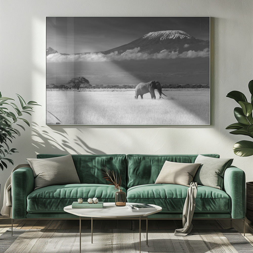 Verlorene Farben II | Leinwand